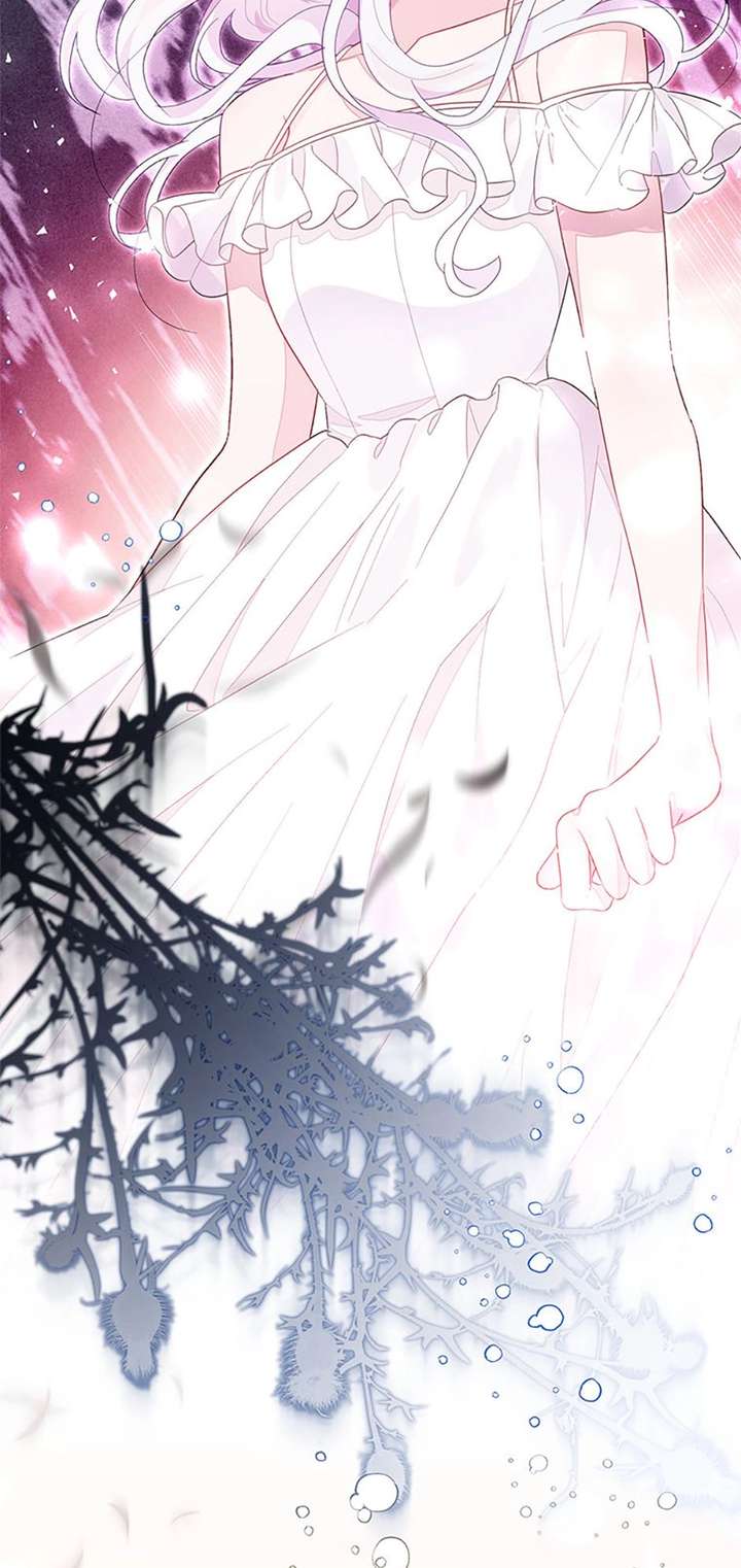 ch 95 22