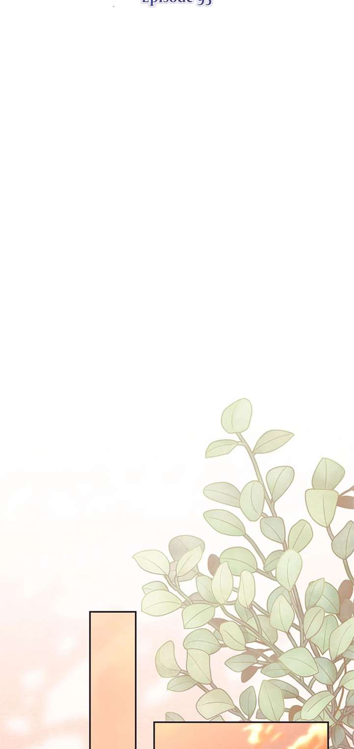 ch 95 26