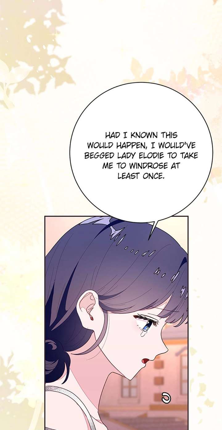 ch 95 38