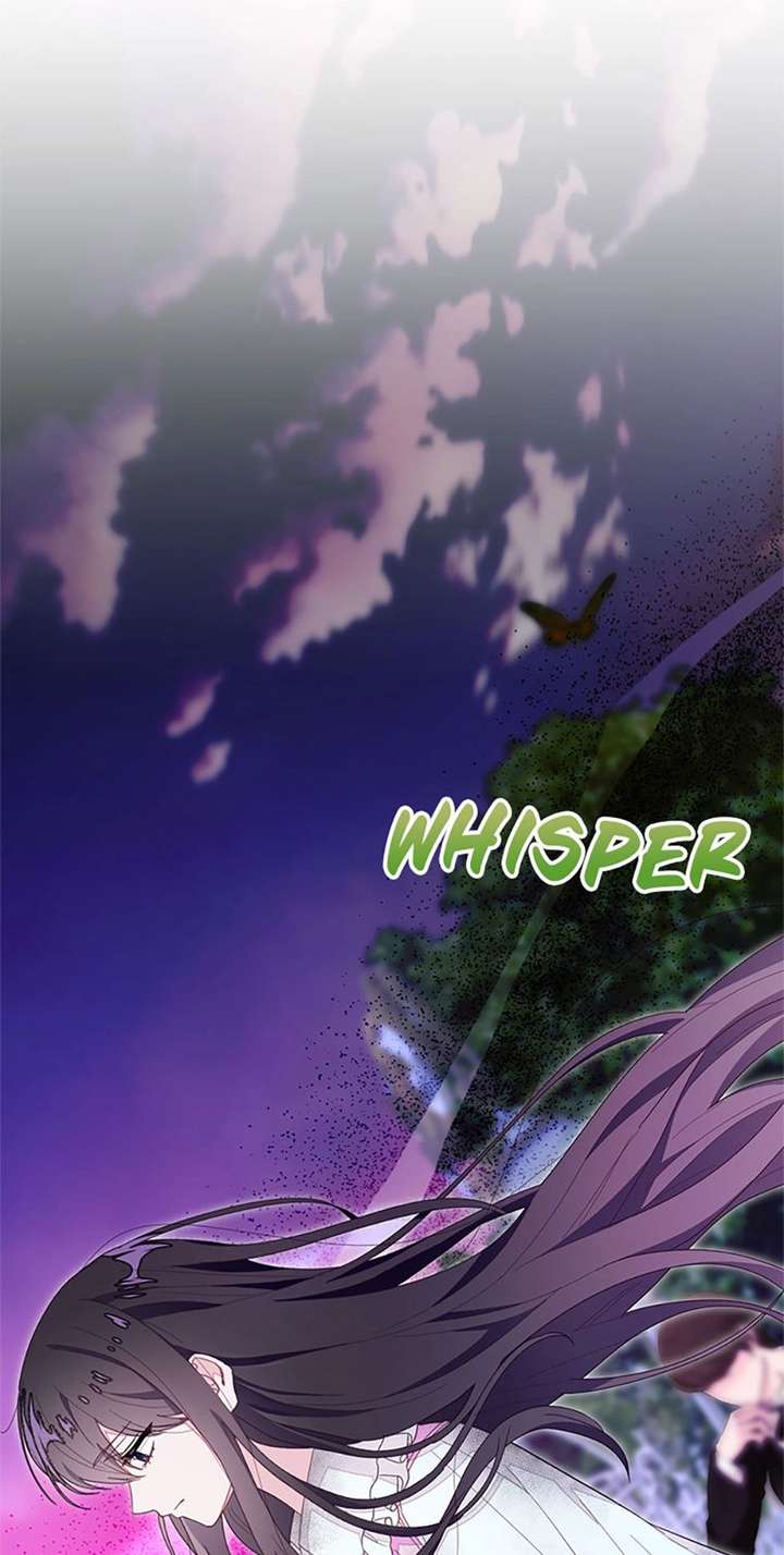 ch 95 46