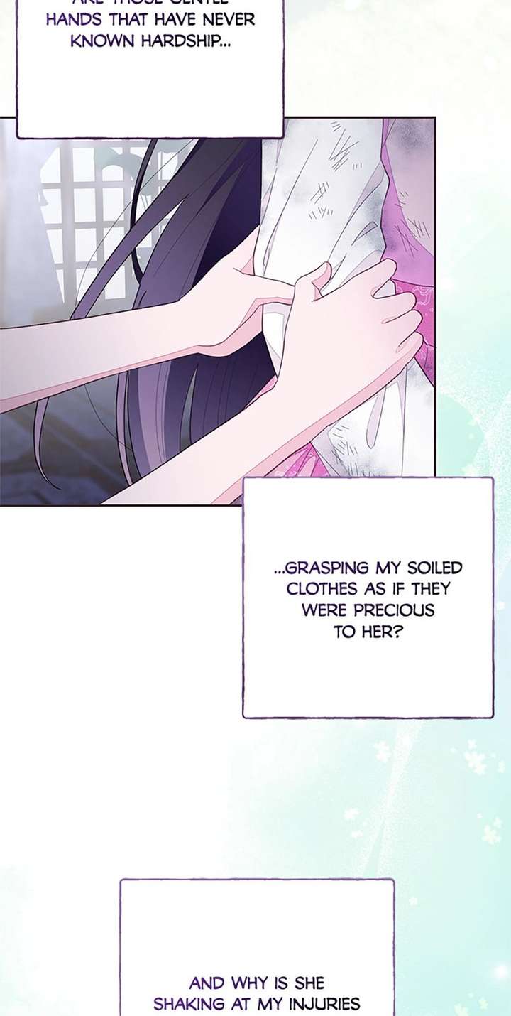 ch 95 74