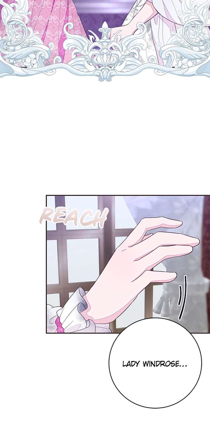 ch 95 81