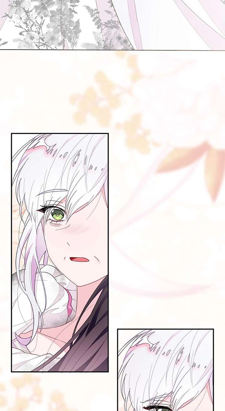 ch 95 84