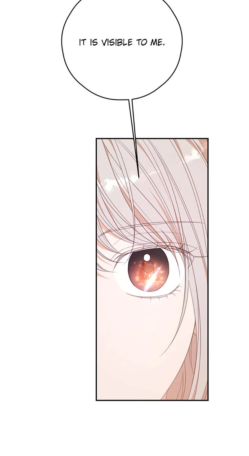 I Will Live as a Supporting Role in This Life Chapter 91 247 ch 91 18