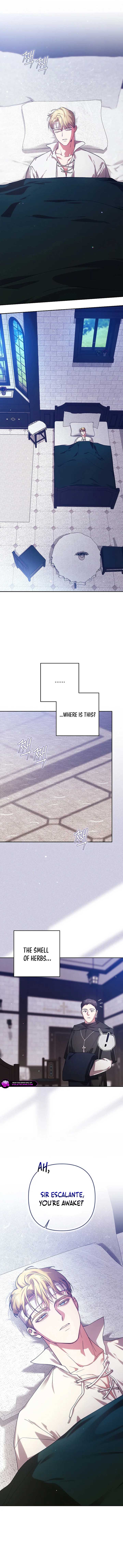 ch 101 8