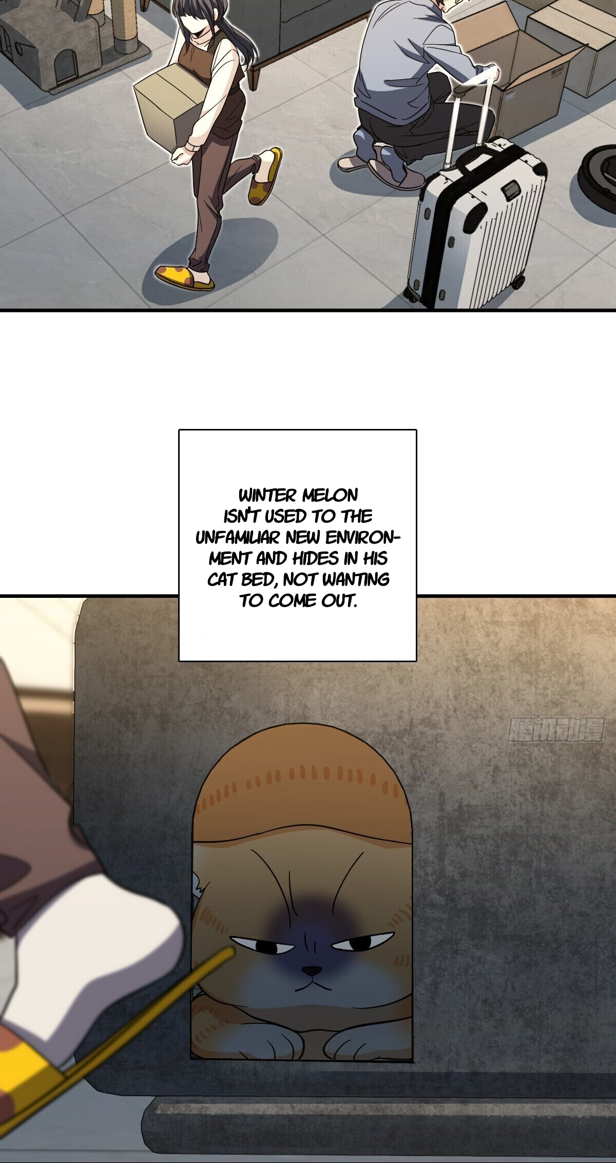 My Wife Is From a Thousand Years Ago Chapter 305 188 22