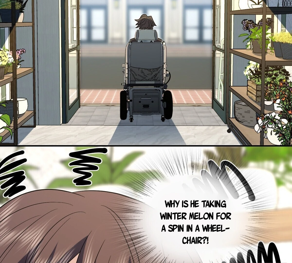 31
