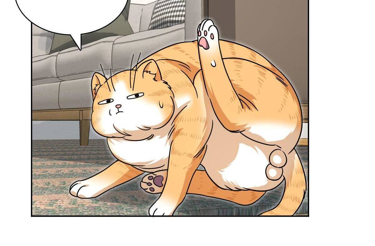 My Wife Is From a Thousand Years Ago Chapter 44 255 62