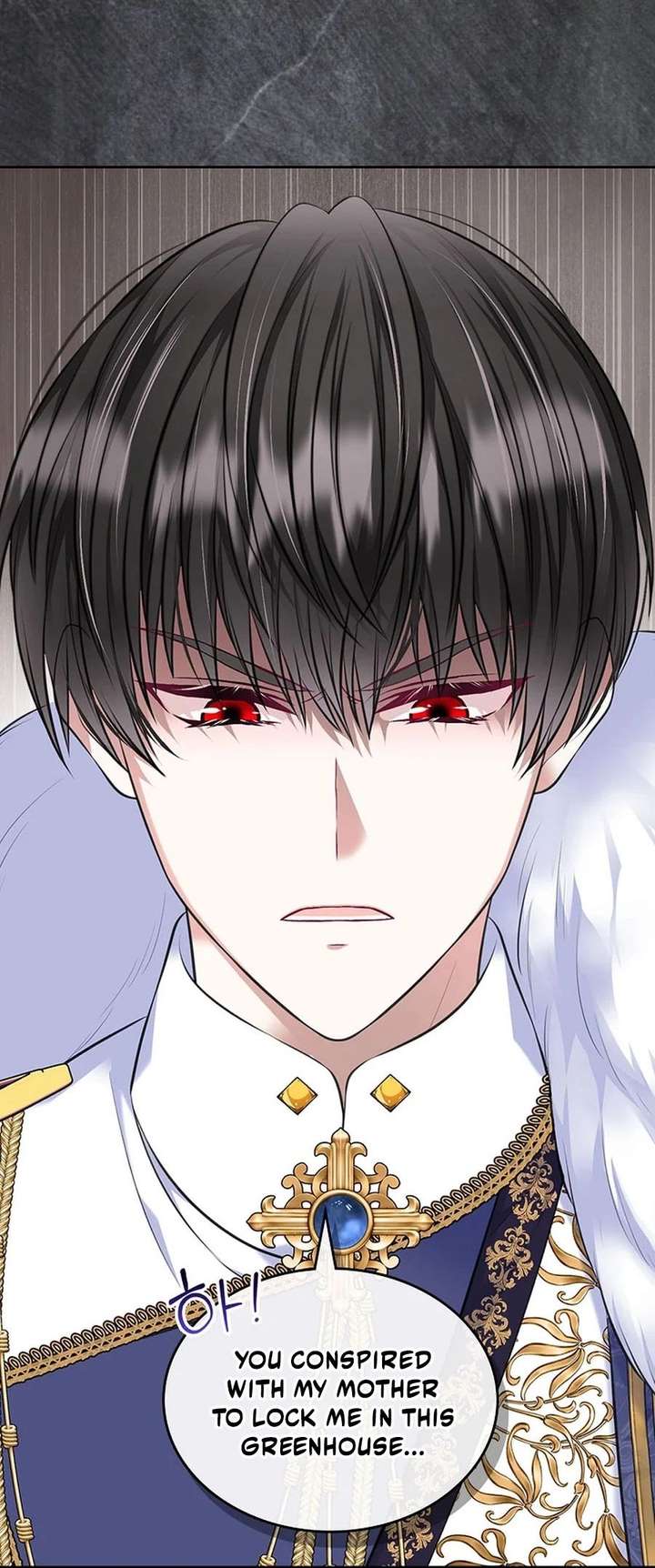 I Will Divorce the Female Lead’s Siscon Brother Chapter 103 195 009