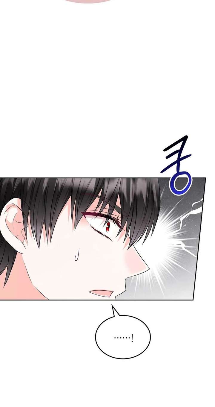 I Will Divorce the Female Lead’s Siscon Brother Chapter 103 217 031