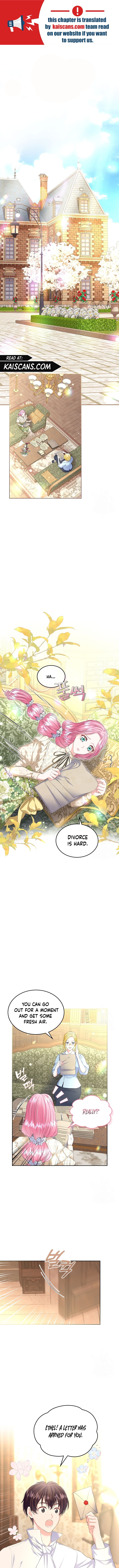 I Will Divorce the Female Lead’s Siscon Brother Chapter 25 44 1