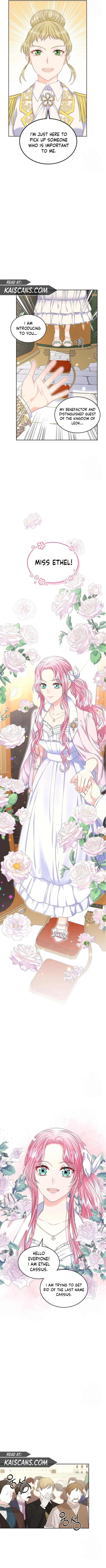 I Will Divorce the Female Lead’s Siscon Brother Chapter 27 47 4