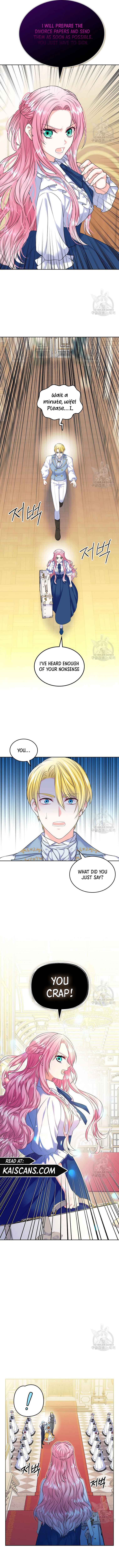 I Will Divorce the Female Lead’s Siscon Brother Chapter 3 49 6