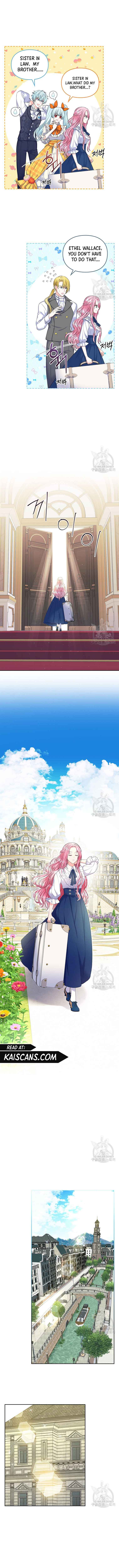 I Will Divorce the Female Lead’s Siscon Brother Chapter 3 50 7