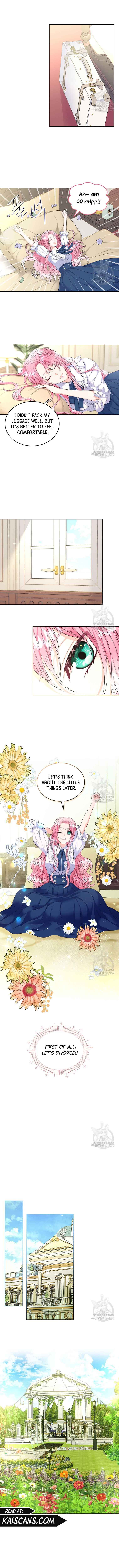 I Will Divorce the Female Lead’s Siscon Brother Chapter 3 51 8