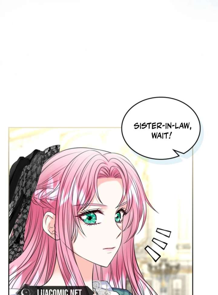 I Will Divorce the Female Lead’s Siscon Brother Chapter 86 402 041