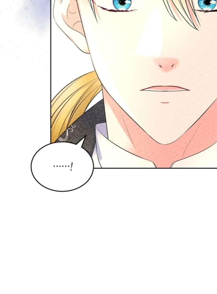 I Will Divorce the Female Lead’s Siscon Brother Chapter 89 510 104