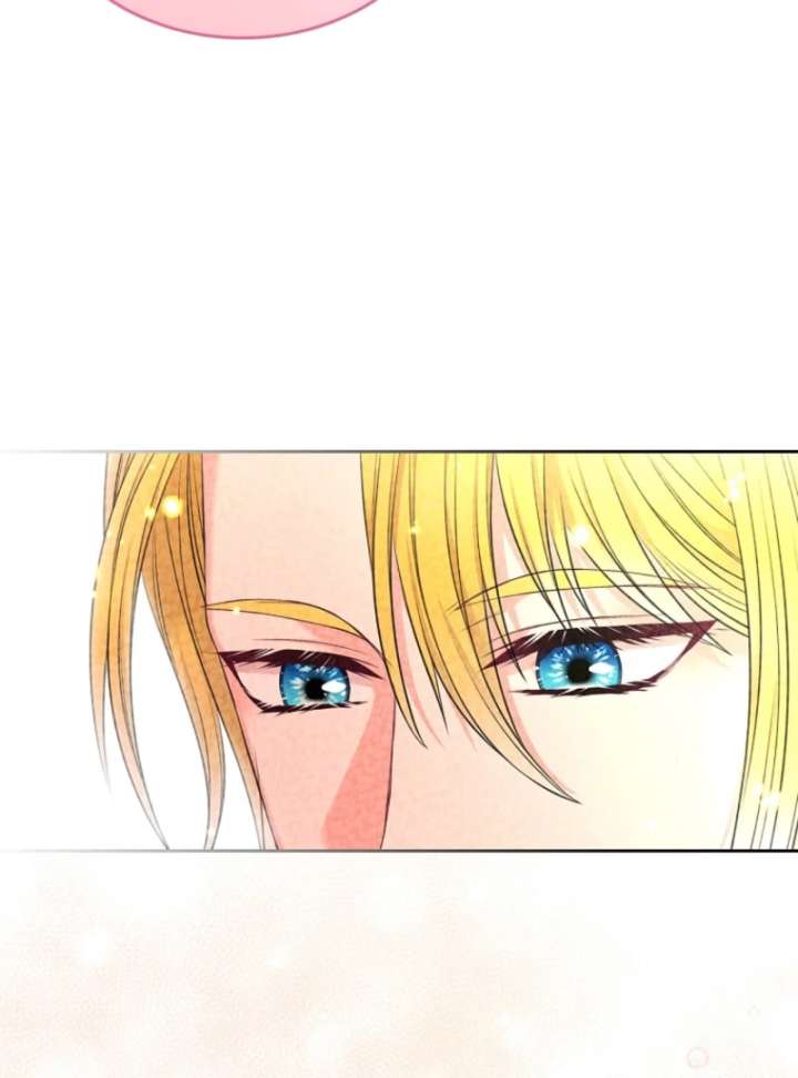 I Will Divorce the Female Lead’s Siscon Brother Chapter 89 479 73