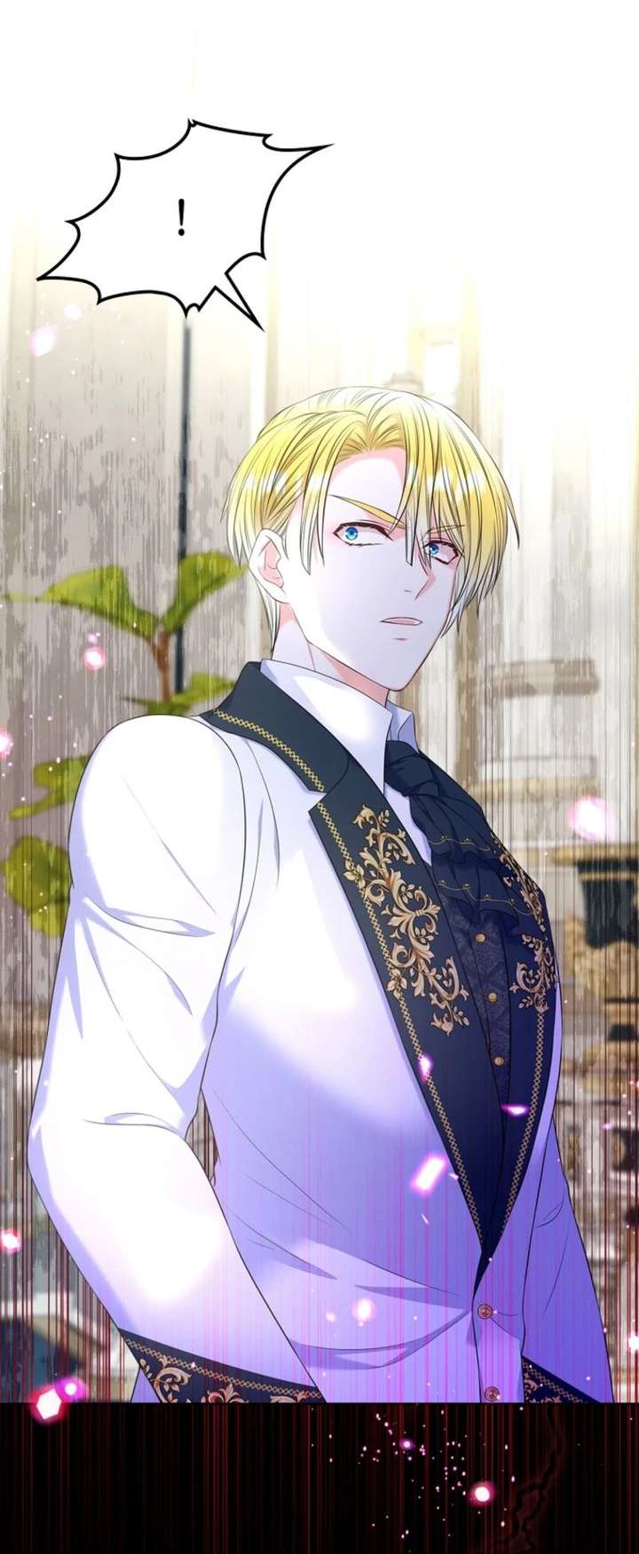 I Will Divorce the Female Lead’s Siscon Brother Chapter 94 336 047