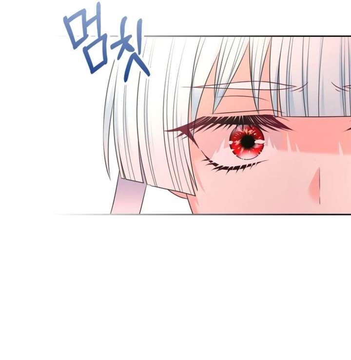 I Will Divorce the Female Lead’s Siscon Brother Chapter 94 352 063