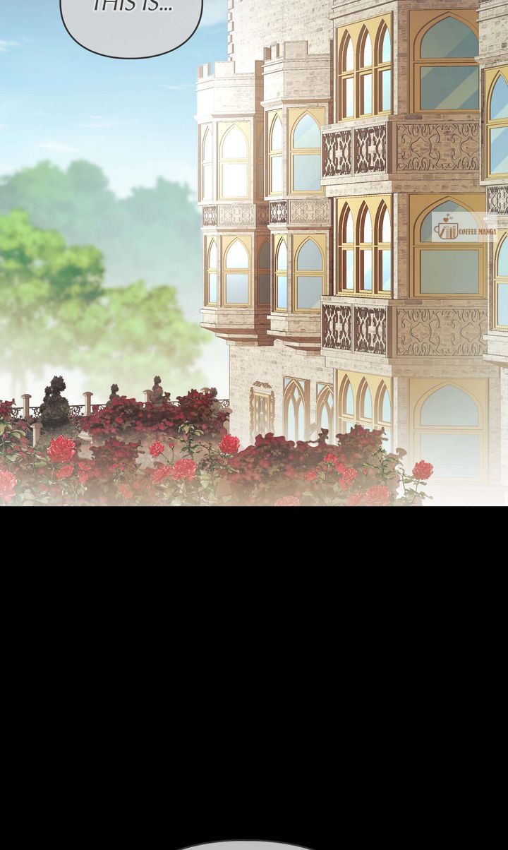 ch 75 41