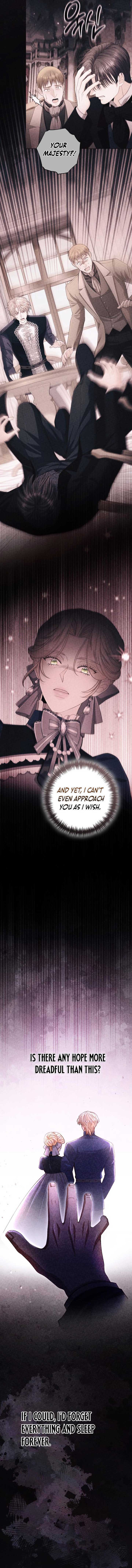 ch 207 13