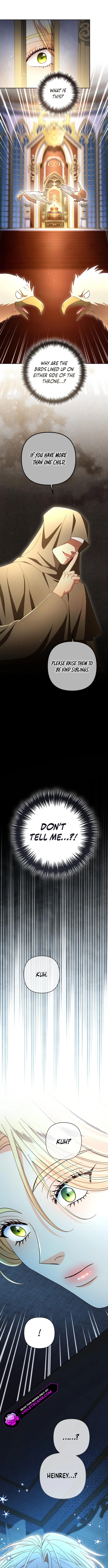 ch 217 13