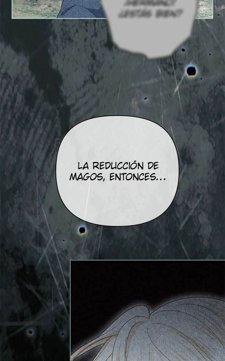 ch 248 95