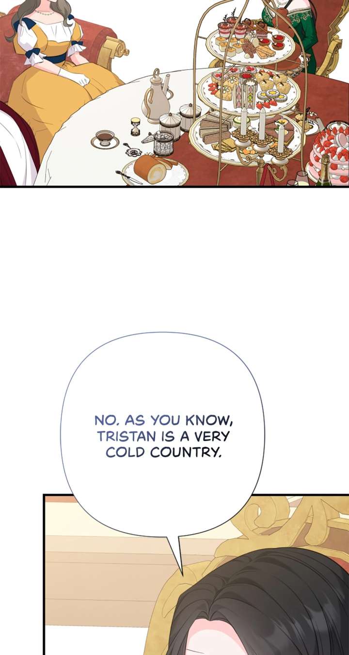 The Empress Wants To Avoid the Emperor Chapter 102 435 083