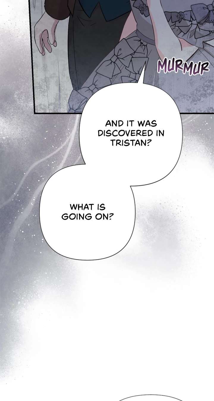 The Empress Wants To Avoid the Emperor Chapter 103 451 81