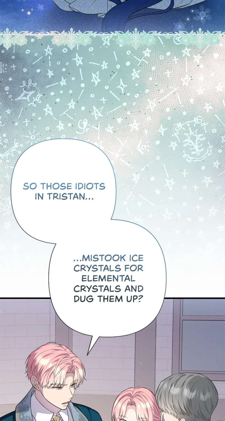 The Empress Wants To Avoid the Emperor Chapter 104 458 085