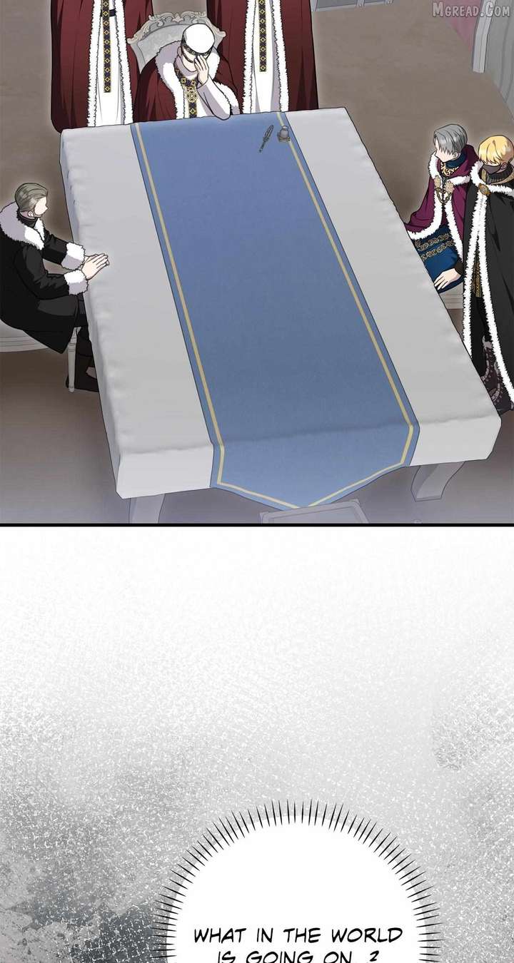 ch 113 52