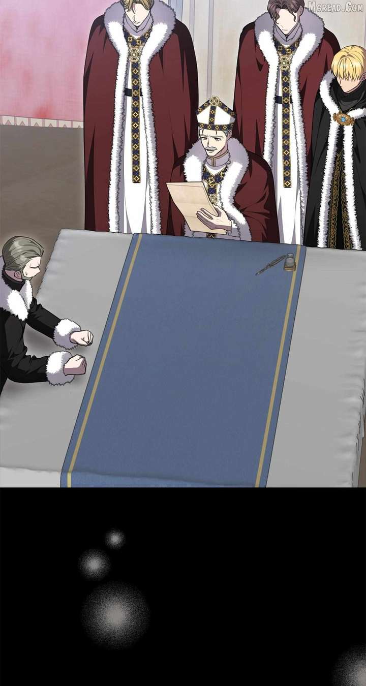 ch 113 96