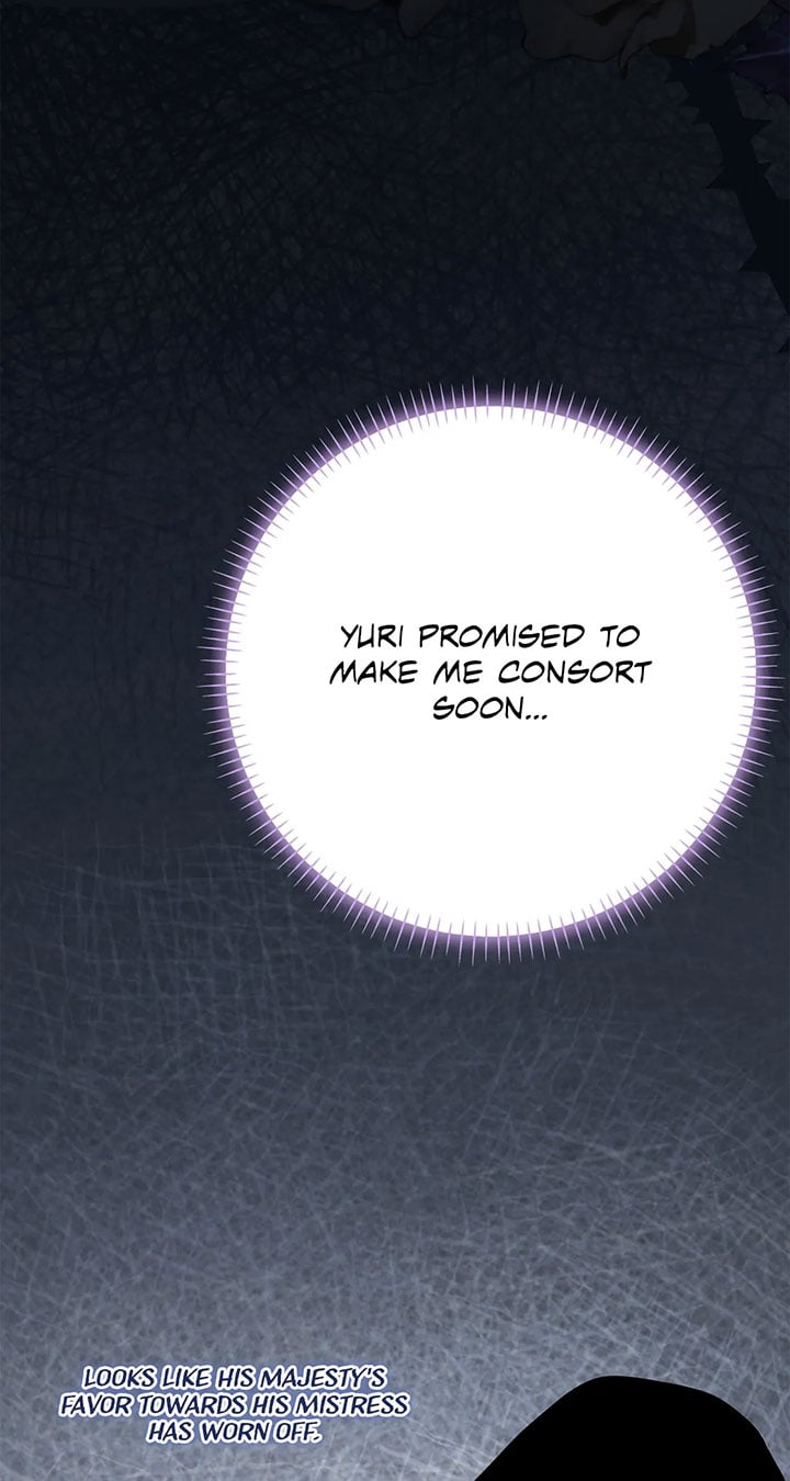 The Empress Wants To Avoid the Emperor Chapter 23 495 116