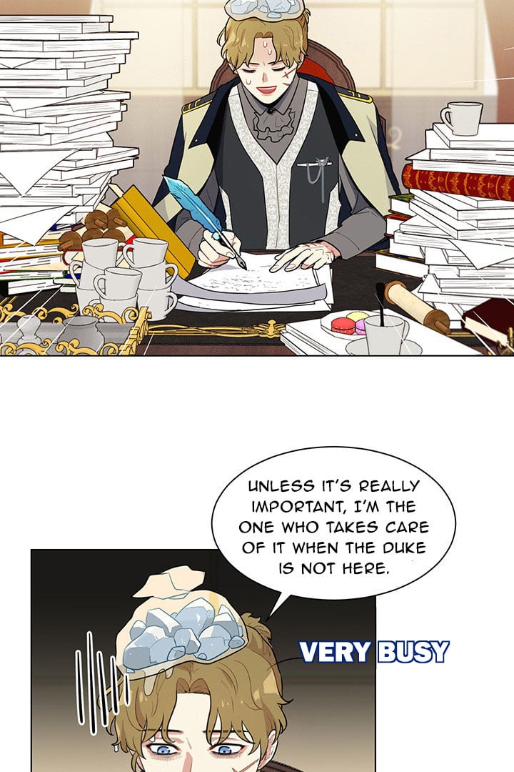 41