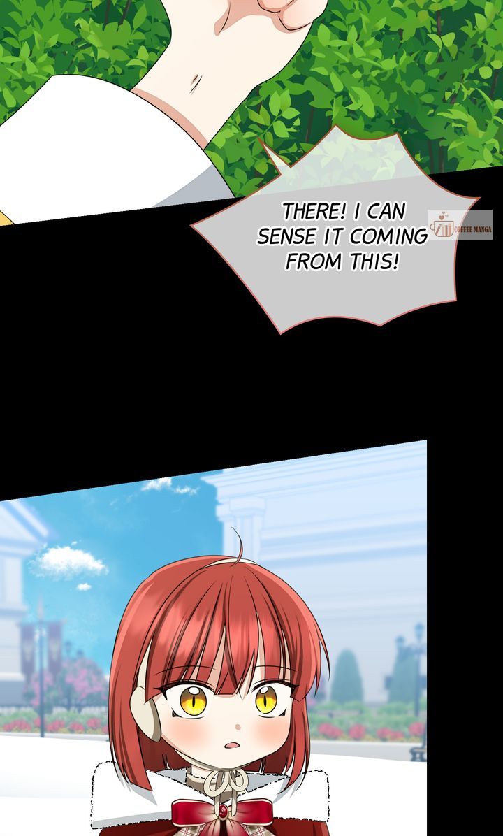 ch 74 23