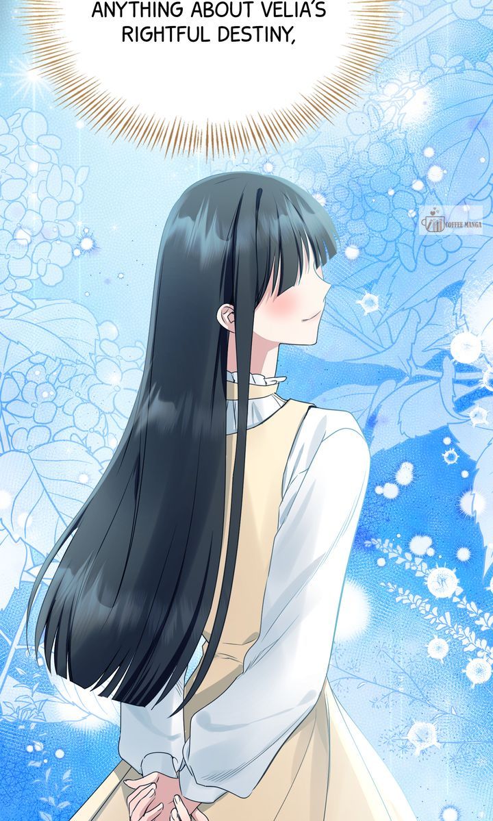 ch 88 36