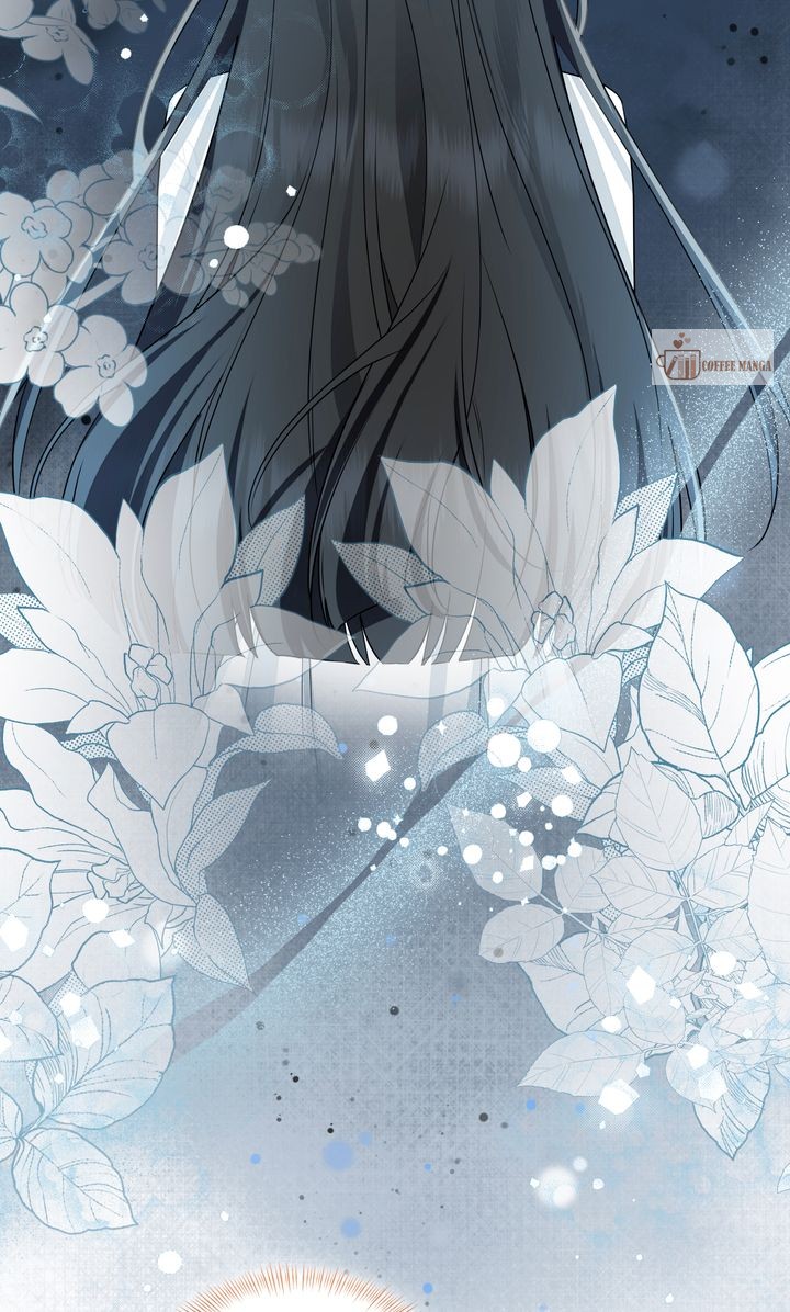ch 91 29