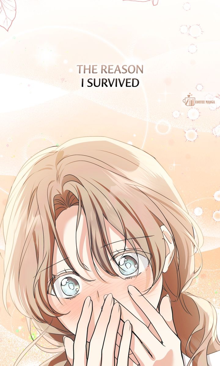 ch 91 74