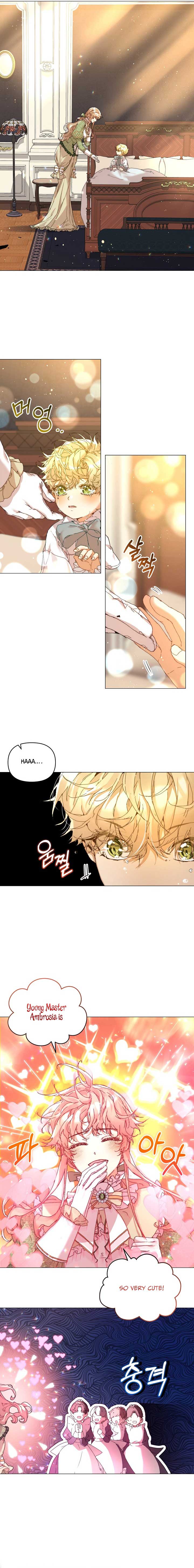 I’m the Villainous Male Lead’s Terminally Ill Aunt Chapter 3 63 11