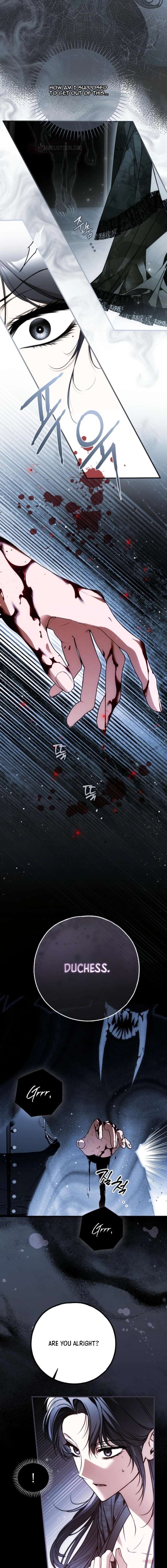 ch 85 8
