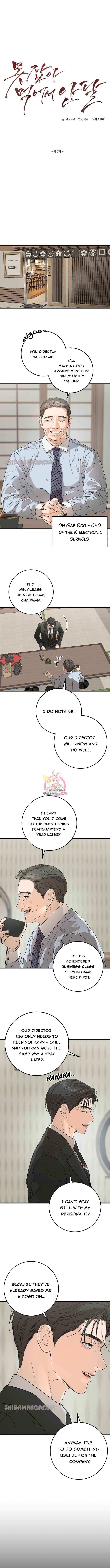 chap 3 2