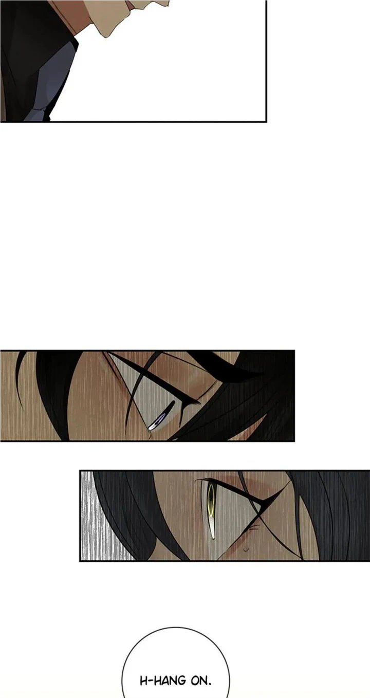 chap 17 47