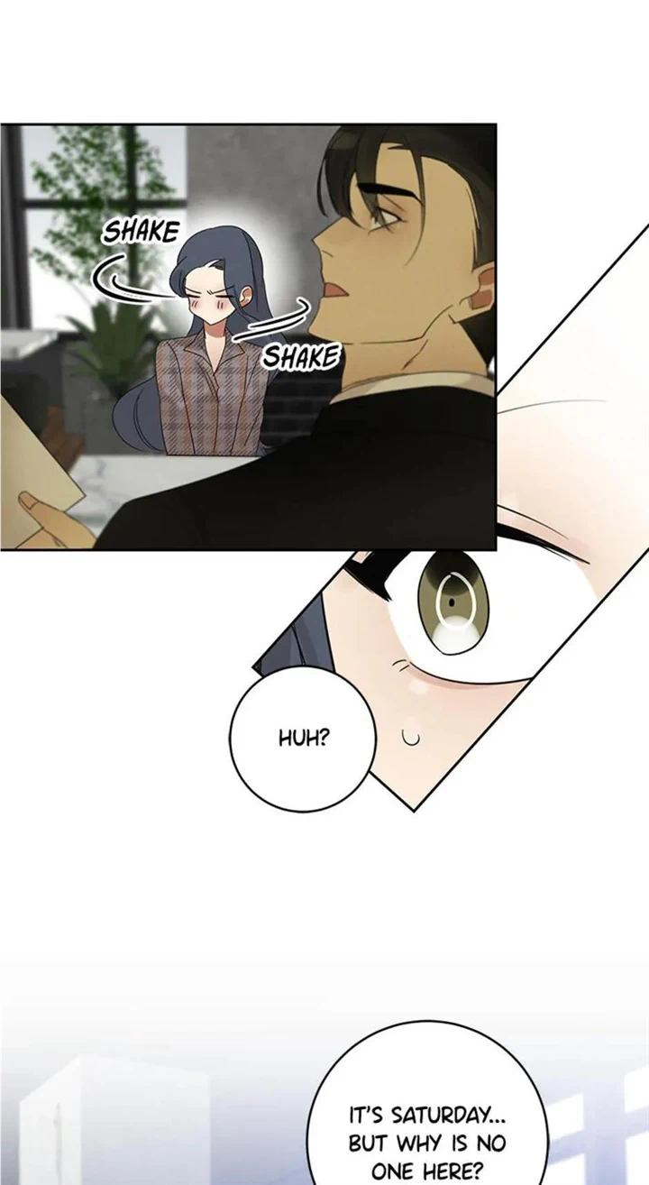 chap 23 20