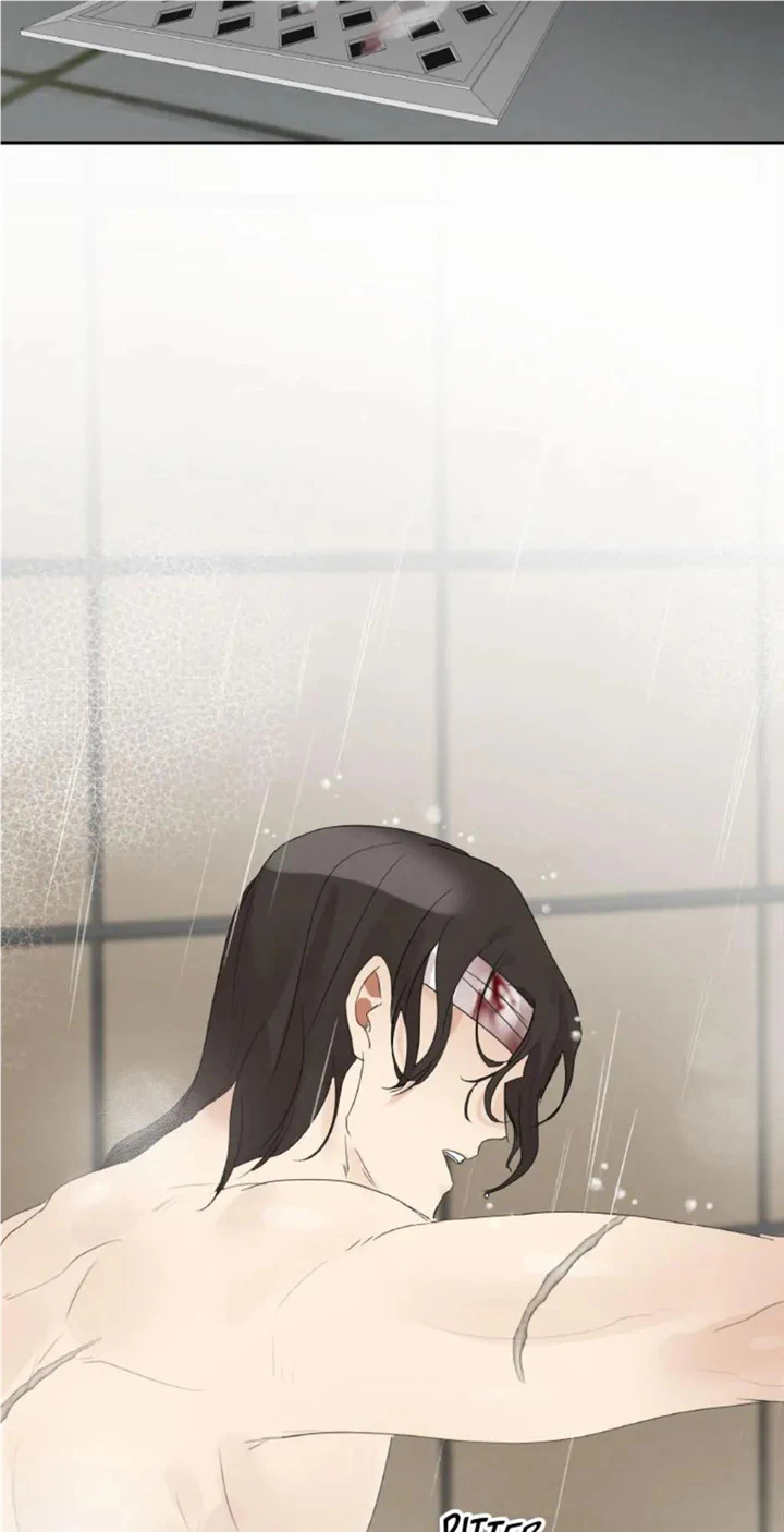 chap 25 31