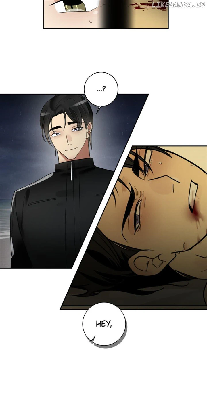 chap 33 41