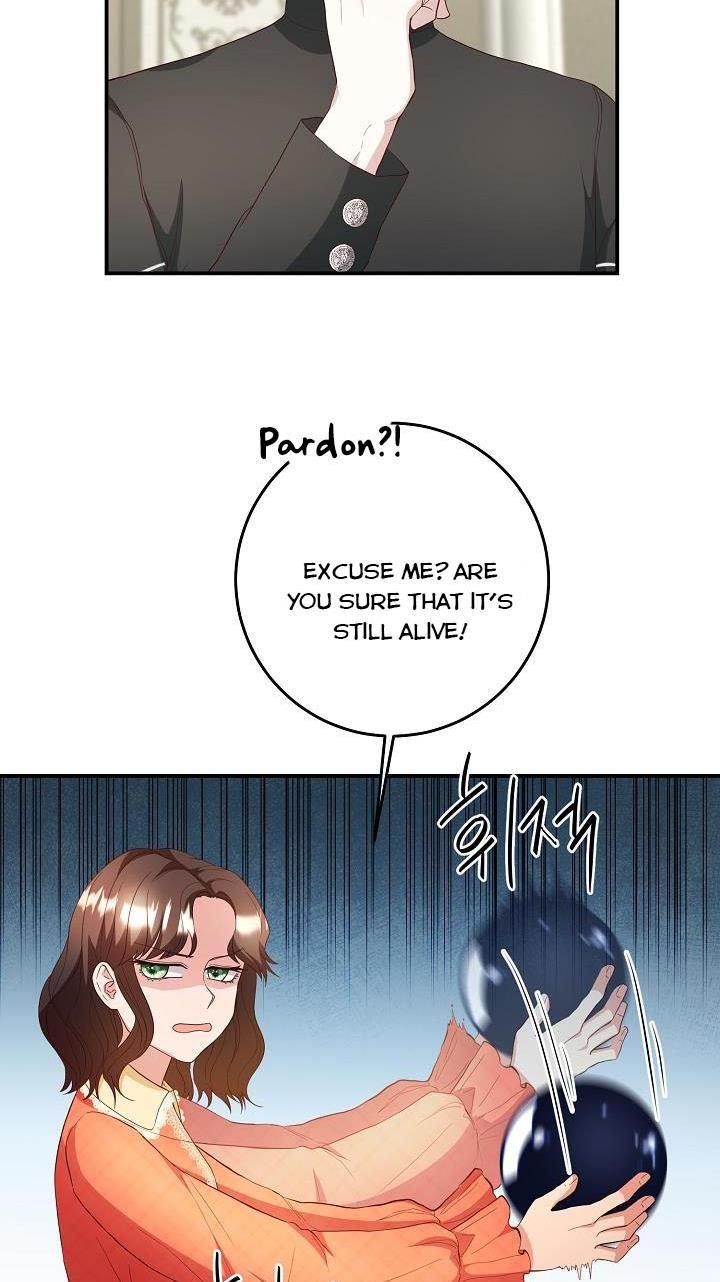 chap 4 31