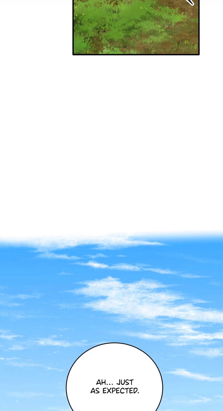 256d4d331748
