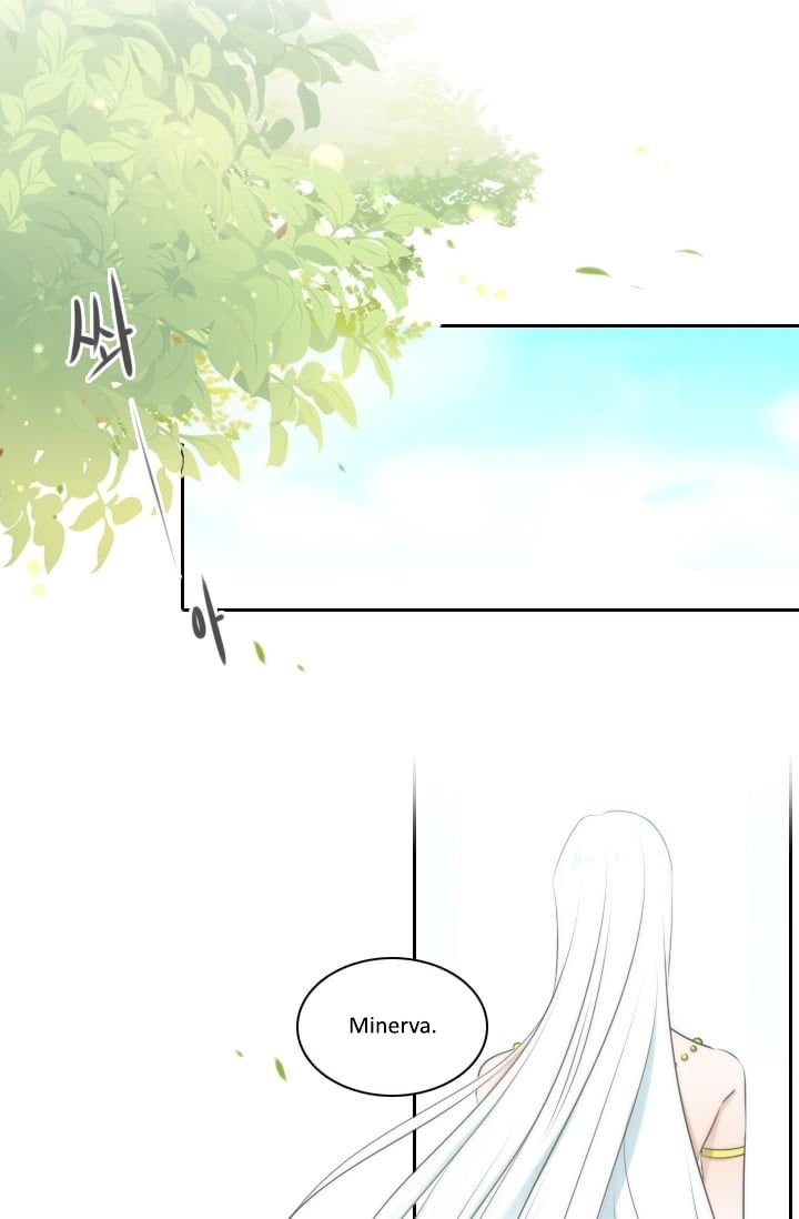 chap 4 1