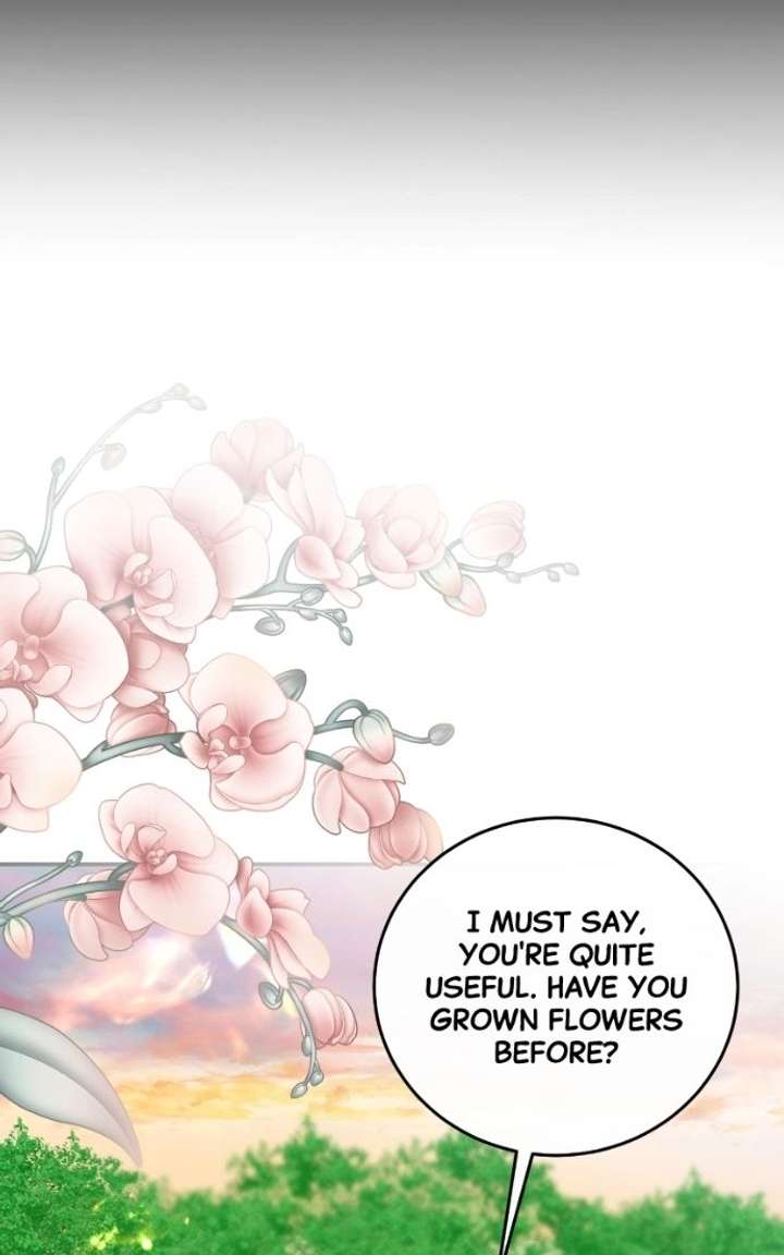 ch 135 56